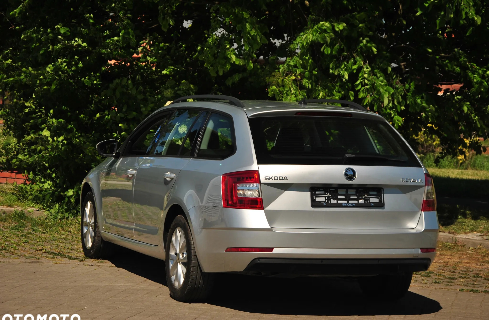 Skoda Octavia cena 49900 przebieg: 151000, rok produkcji 2019 z Raszków małe 79